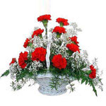 Lithuania flower :12 carnations